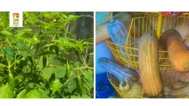 Nossa Senhora Aparecida. (+) Parque Urbano Nascentes do Ribeirão Colônia.